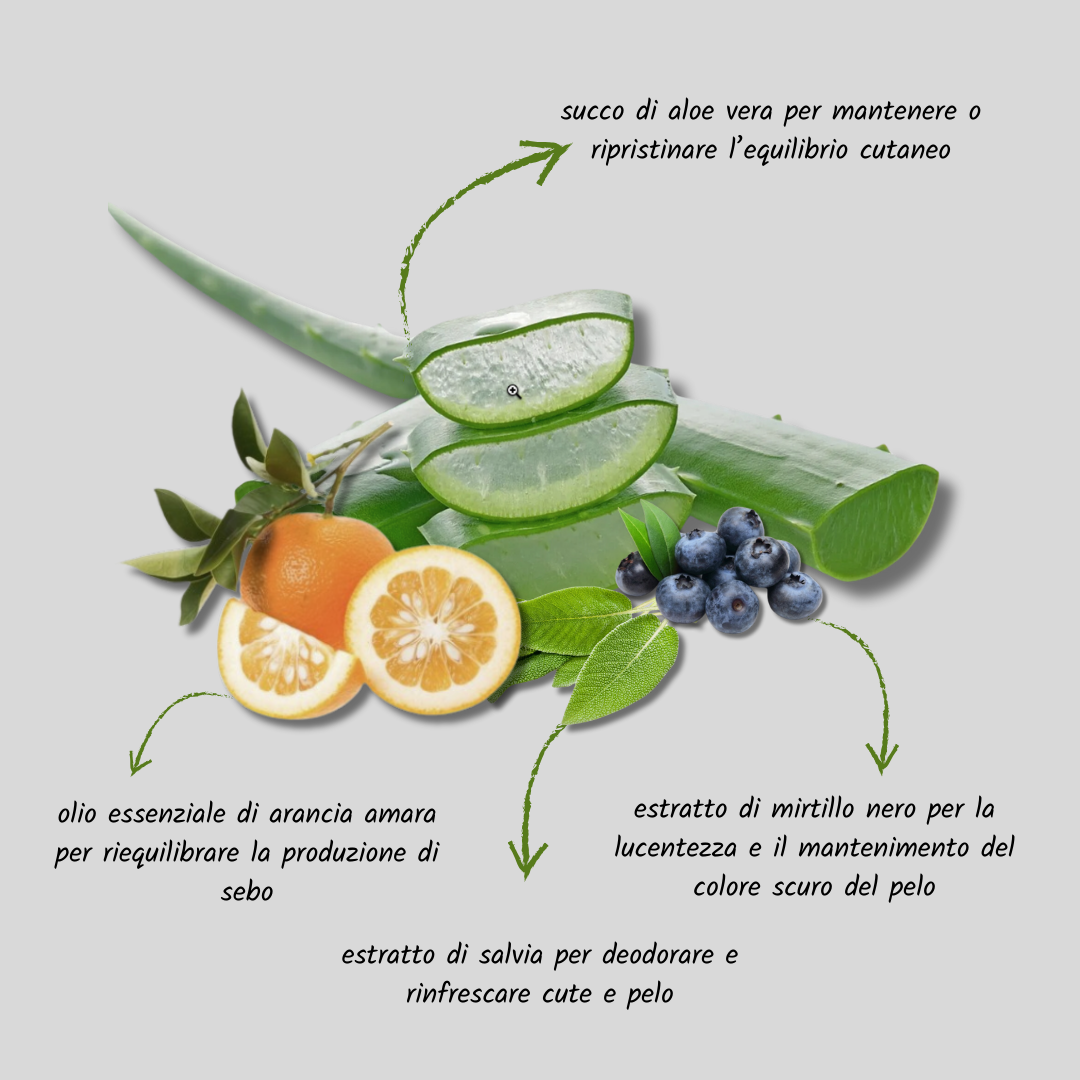 Bio Clean shampoo manti scuri