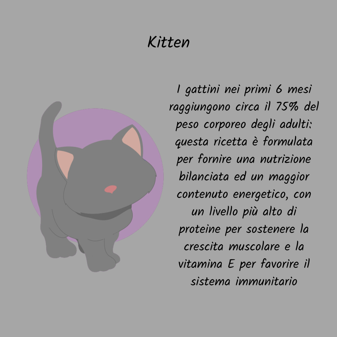 Gatto grain free kitten tacchino e pollo