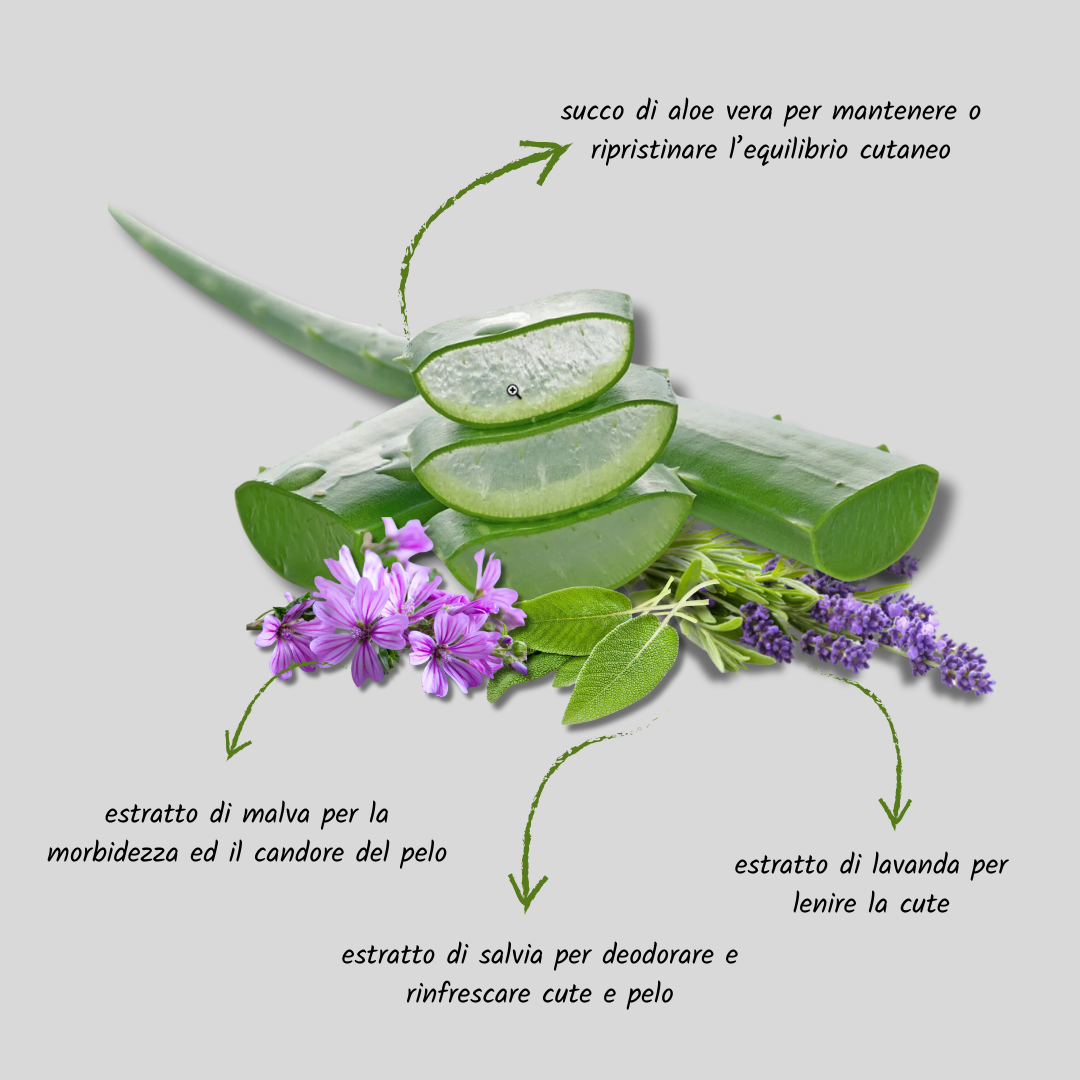 Bio Clean shampoo uso frequente