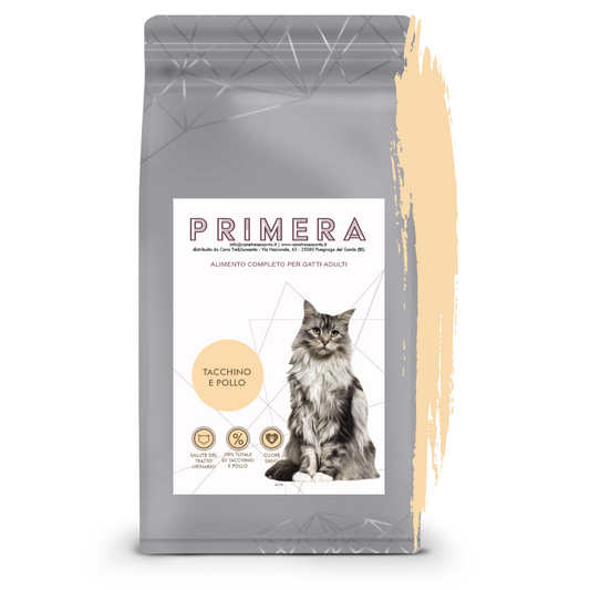 Gatto grain free adult tacchino e pollo