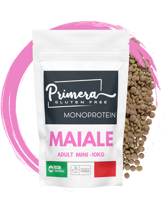 Cane gluten free adult maiale mini