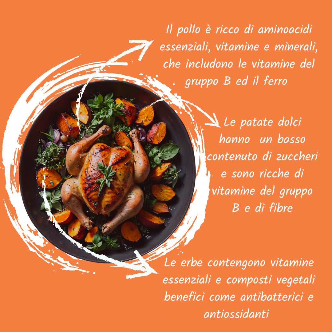 Cane grain free adult pollo mini
