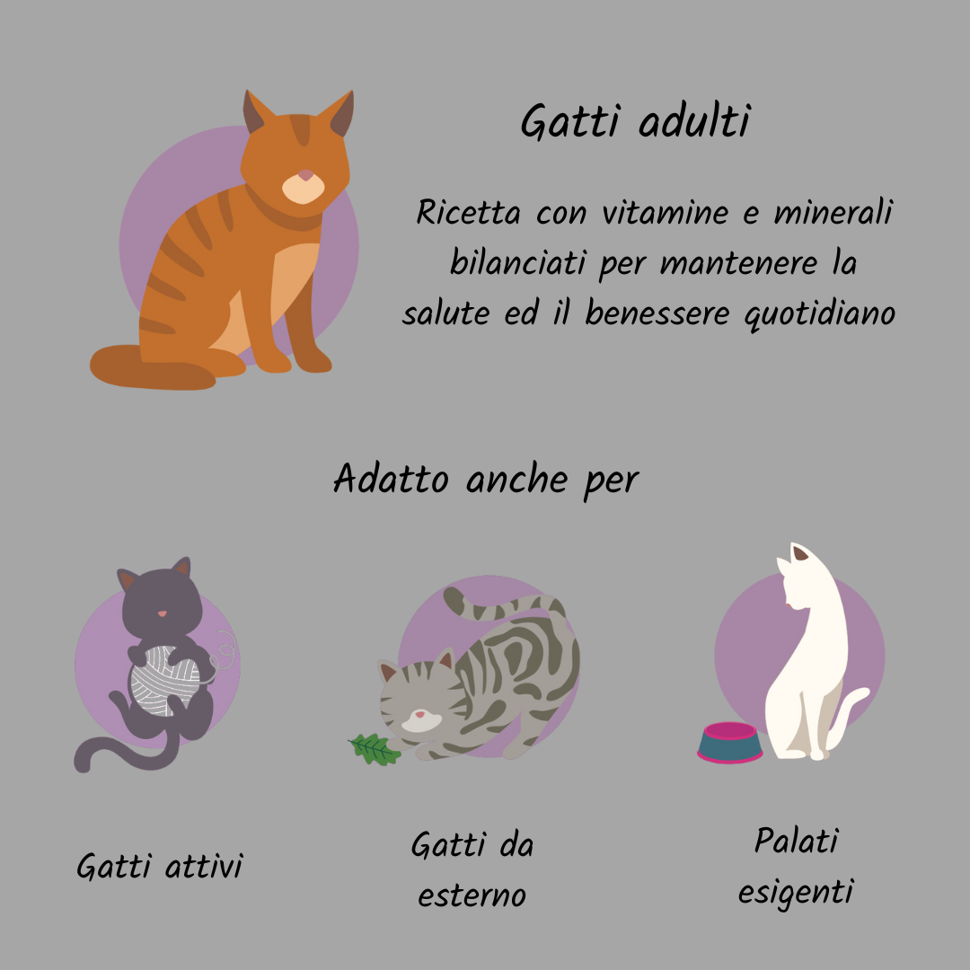 Gatto grain free adult tacchino e pollo