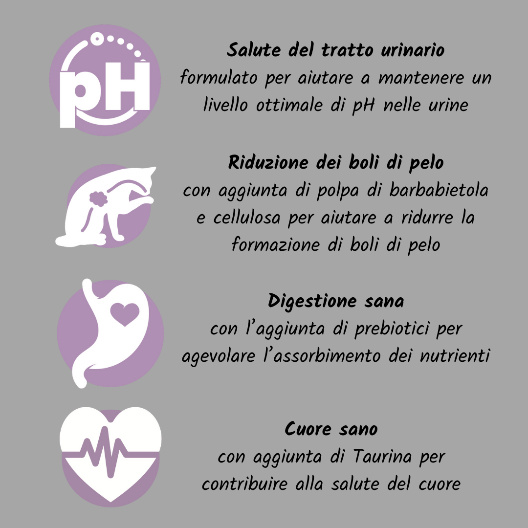 Gatto grain free adult tacchino e pollo