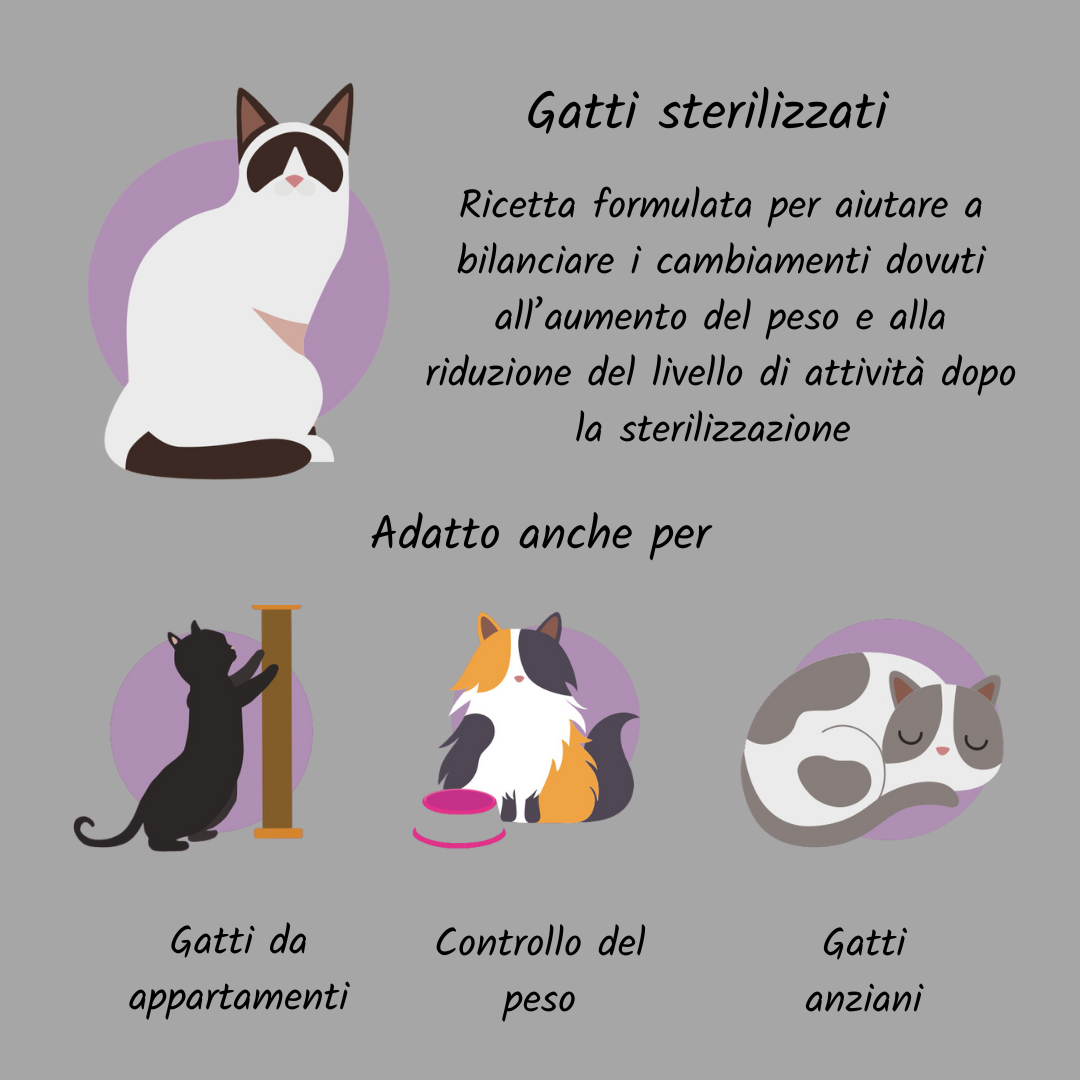 Gatto grain free sterilised pollo, tonno e salmone