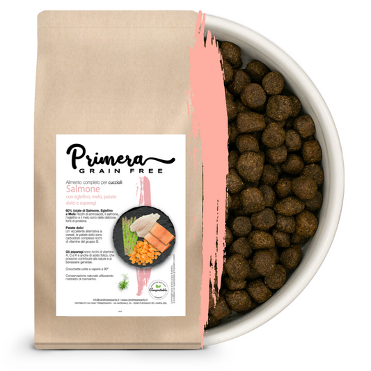 Cane grain free puppy salmone, eglefino, pesce bianco all breed